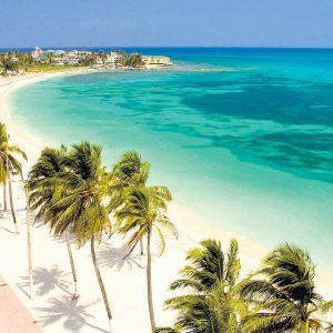 san andres wingo